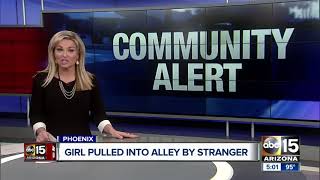 Student pulled into Phoenix alley