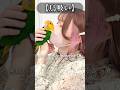 【質問】鳥飼い用語クイズ！あなたは何問正解できる？🐦【インコ】 #shorts