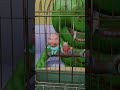 Pigcage is in the zombie's home #animation #funny #peppapig #cartoon #home