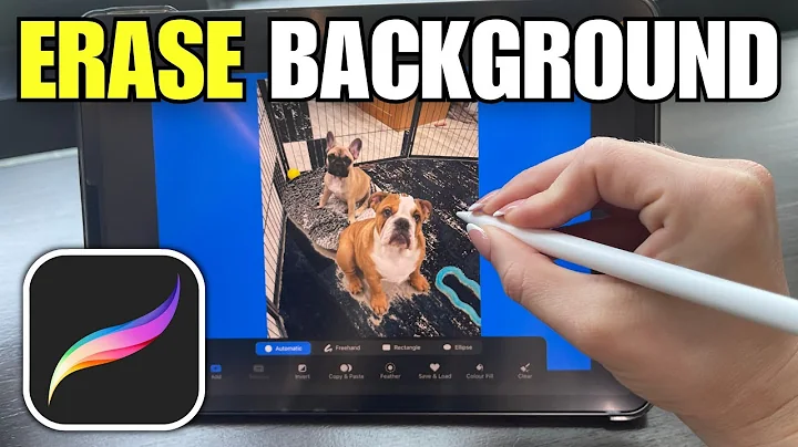 How To Remove Background in Procreate (Automatically)