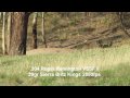.204 Ruger vs Rabbit - Exploding Varmints Australia
