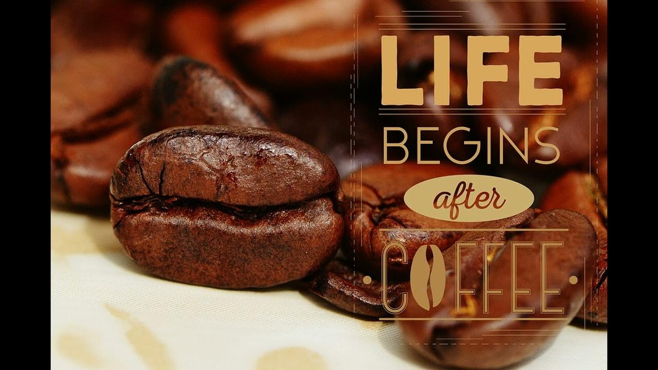 состав кофеина в кофе. вред кофе биохимия. биохимия кофе. биохимия кофе. механизм действия кофеина схема.