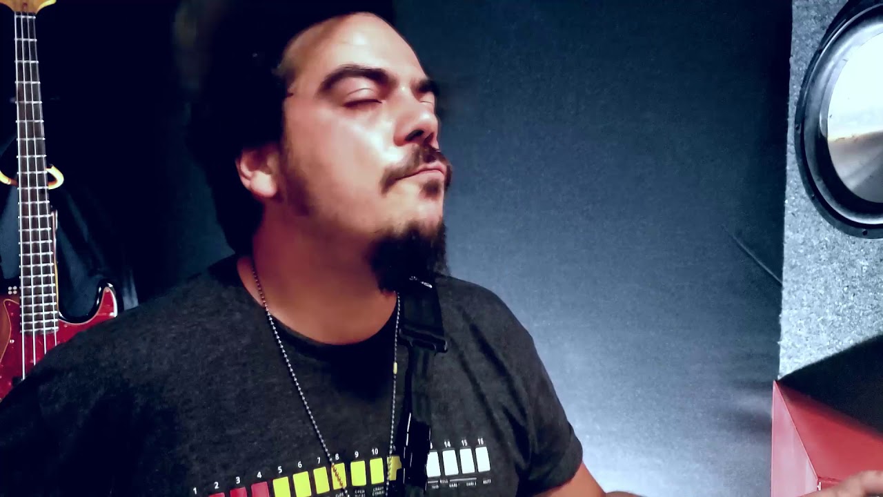 VINYL HERO - VULTURES (Bass Playthrough)