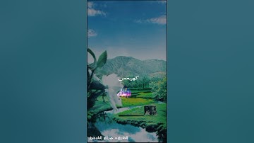 حالات واتس قرآن كريم بصوت القاريء هزاع البلوشي سورة مريم