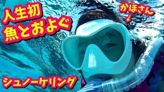 人生初 海で魚と泳ぐ 初シュノーケリング かほせい 春休み 南の島