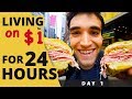 Living on 1 for 24 hours in nyc day 1