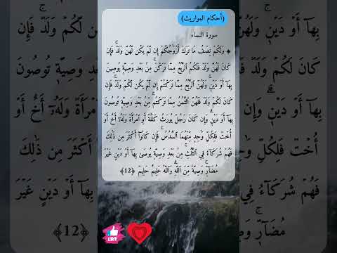 احكام المواريث ولكم نصف ما ترك أزواجكم إن لم يكن لهن ولد سورة النساء دعاء ورسالة