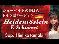 Heidenröslein - Schubert【シューベルト『野ばら』ドイツ語】Sop. Himika Tamaki