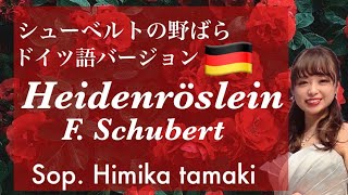 Heidenröslein - Schubert【シューベルト『野ばら』ドイツ語】Sop. Himika Tamaki