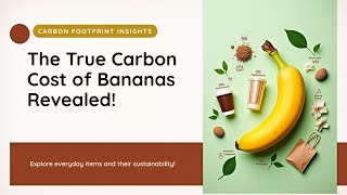 A Practical Guide to Understanding Your Carbon Footprint | Book How Bad Are Bananas
