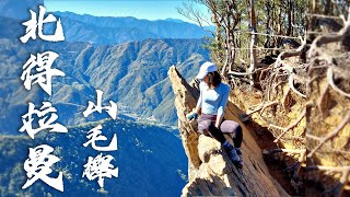 【北得拉曼】巨木內鳥嘴山迴音谷錯過了黃金山毛櫸嗎?  五彩繽紛之旅