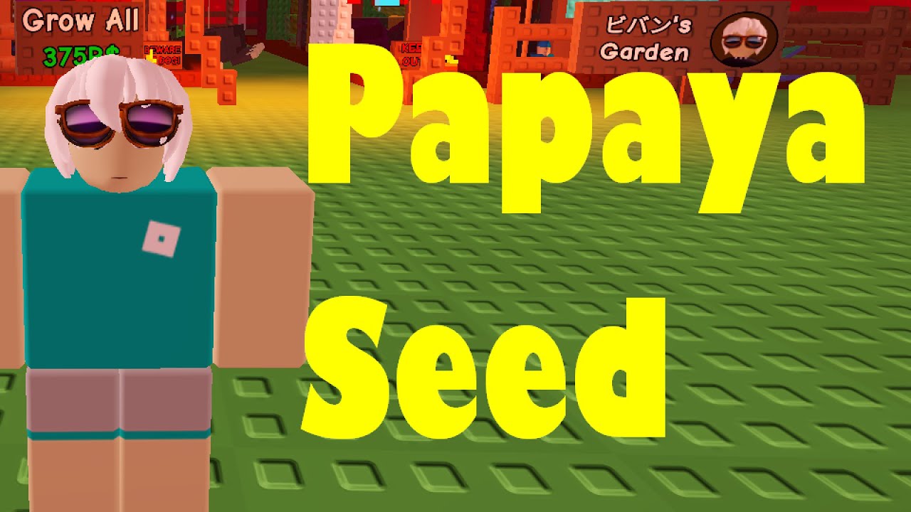 EASIEST Way to Get PAPAYA SEED in Grow A Garden! Roblox - YouTube