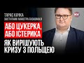 Валу українського товару в Польщу немає – Тарас Качка