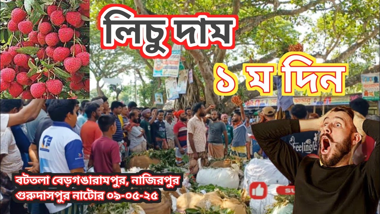 আজকের লিচুর দাম (১ম দিন)  বটতলা লিচুর আরত, নাজিরপুর 