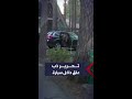 لحظة تحرير دب علق داخل سيارة في أميركا