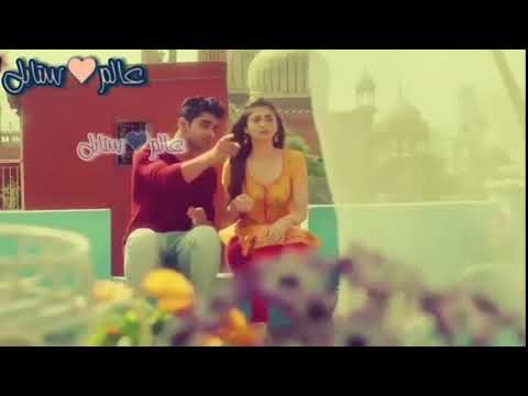 يا طير دخلك قلا ربيع الاسمر اروح حالات الوتس آب
