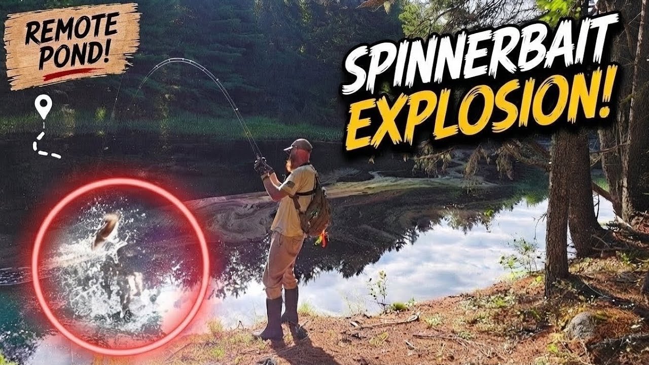Epic Spinnerbait Fishing: Remote Pond Bass Fishing