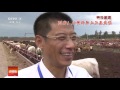 20170717 科技苑  中国办法（1）多种方式养好牛