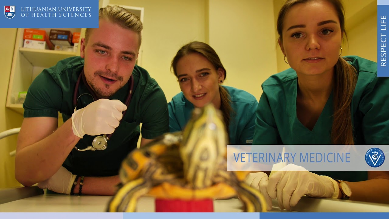 Lithuanian University of Health Sciences Master of Science in