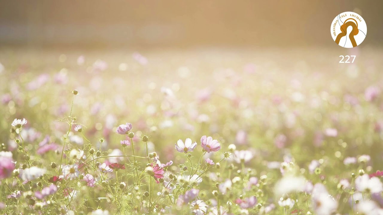 MĪLESTĪBAS CEĻŠ LIECĪBĀS | MŪŽĪBAS ELPA