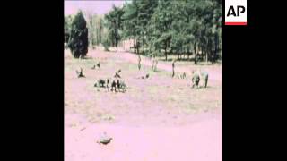 SYND 25-4-74 MINE HUNTING PRACTICE IN PREPARATION FOR SUEZ CANAL CLEARANCE