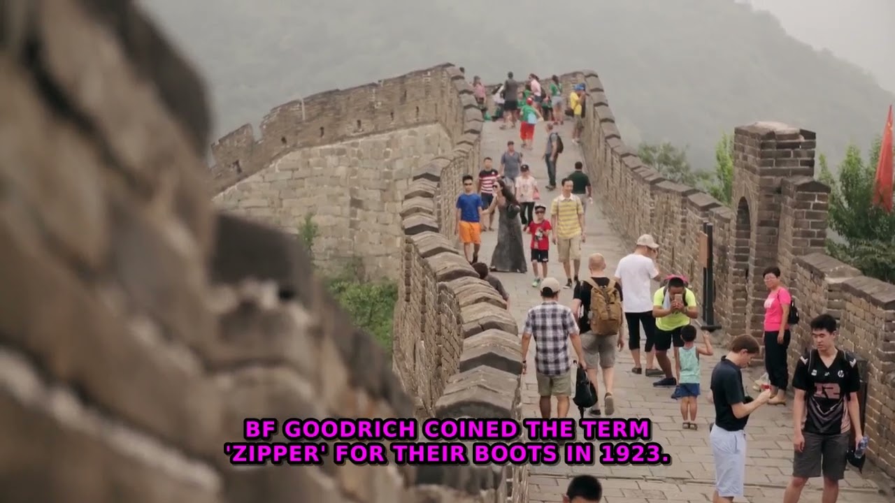 Buttons vs. Zippers: The Surprising History of Fasteners