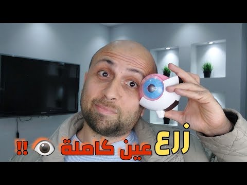 هل يمكن زرع عين بشرية معلومات صادمة