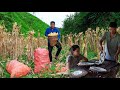 Harvesting Corn and Wild Bee Pupae to Sell at Market with Daughter | Family Farm