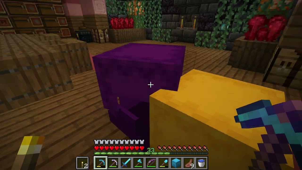 VOD / BBsinge - Minecraft - Dimanche aménagement !