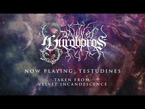 DAWN OF OUROBOROS - 'TESTUDINES' (OFFICIAL AUDIO)