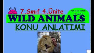 Download lagu İngilizce 7 Sınıf 4 Ünite Wild Animals Konu Anlatımı Yeni MEB kitabı uyumlu İngilizce 7 Sınıf 4 Ünite Wild Animals Konu Anlatımı Yeni MEB kitabı uyumlu