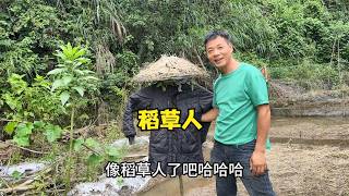雨锅真辛苦，一边拍视频一边养鸡，还要照顾两个小孩