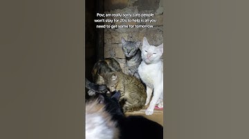 Every bit of your support counts Click on the links in our bio to donate for any support ❤