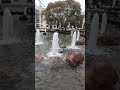Москва Чистые пруды#фонтан