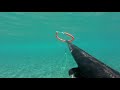 Подводная охота Мала Дуба Хорватия, Spearfishing Mala Duba Croatia 🇭🇷