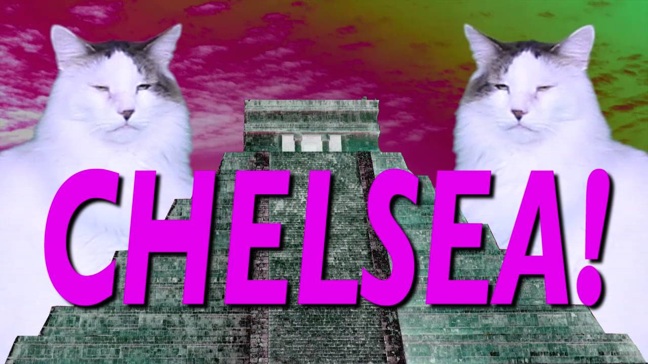 ¡FELIZ CUMPLEAÑOS CHELSEA! Canción Comica de Cumpleaños camera iphone 8 plus apk