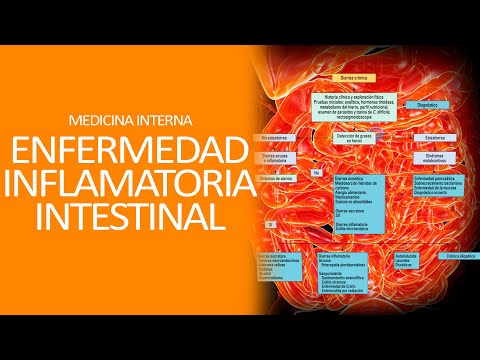 Vídeo: Gastroenteritis Eosinòfila En Gats Inflamació De L'estómac - Diarrea En Gats