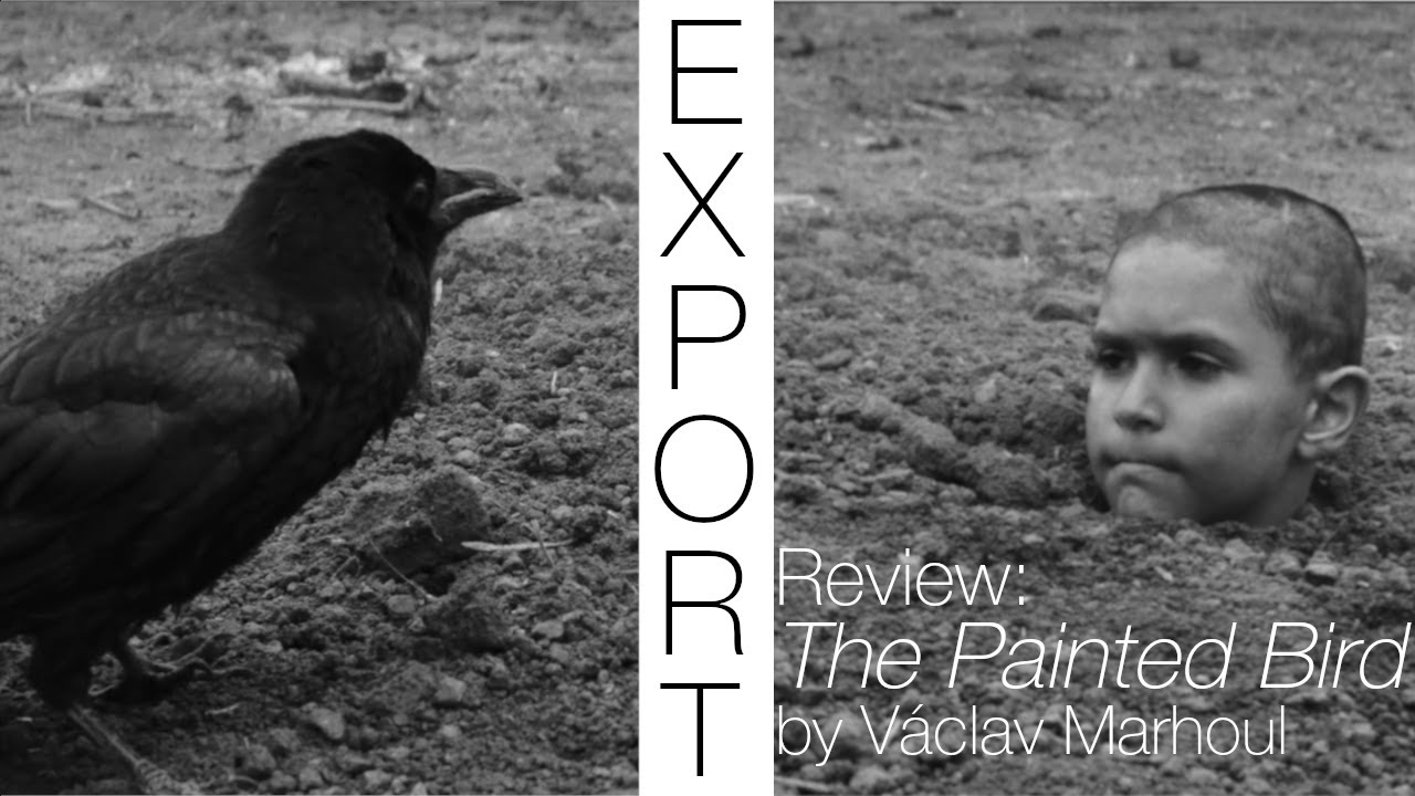Review: 'The Painted Bird' by Václav Marhoul 