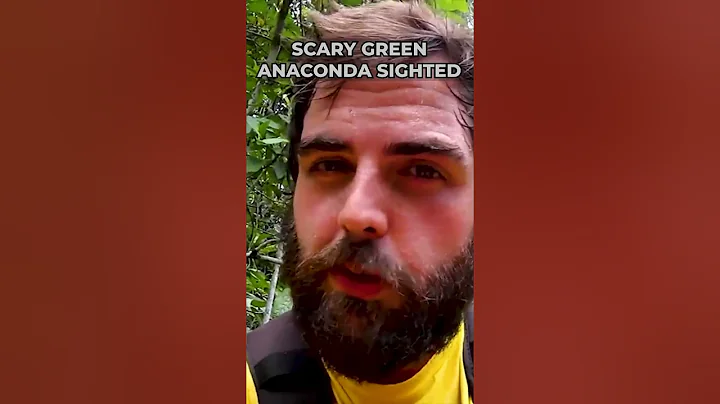 Biggest snakes caught on camera #4