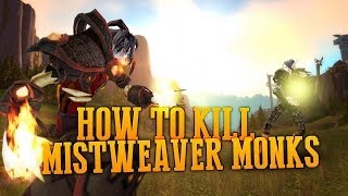 Fire Mage Guide - Killing Mistweaver Monks