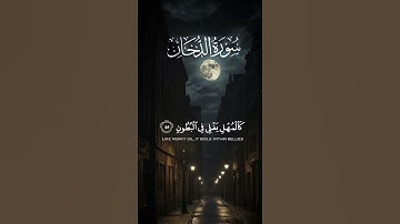 #اكسبلور #المصحف #تلاوات #لايك #تلاوات_خاشعة #تيك_توك #قرآن #راحة_نفسية #حالات_واتس #quranic #qurani