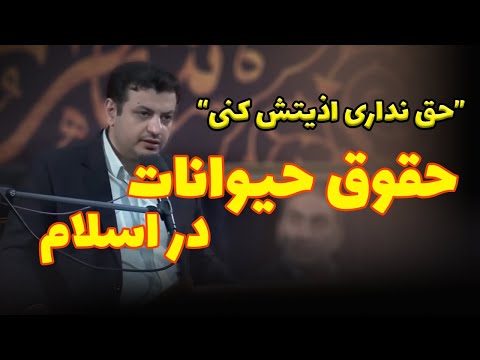 استاد رائفی پور حقوق حیوانات در اسلام چیه مجازات حیوان آزاری 