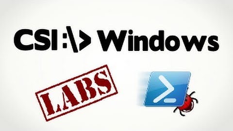 PowerShell.exe Switches For Running Scripts on The Enterprise Desktop