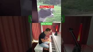 Duet with a sad cat🐱