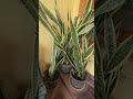 House Plants Collection That Feels Like a Mini Forest 🌿 #mahegardening #flowers