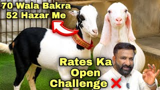 Karachi Ka Sab Se Bara Wholesaler 🚨 Qurbani 2026 Ka Bakra Bumper Sale 🍀 Bakra Mandi 