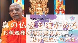 ブッダのことば》真の仏教を確かめる――お釈迦様が母に教えた修行完成へ