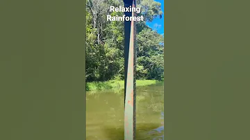 Kuranda Rainforestation Centre Fyp Foryou Rainforest Kuranda Travel Queensland Youtubeshorts 