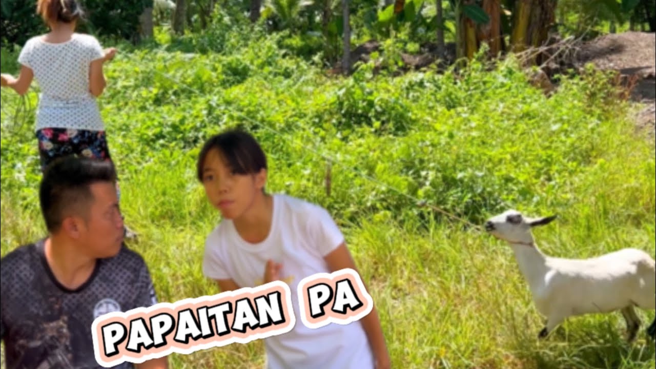 lusno papait sinigang