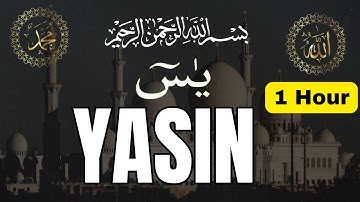 Surah Yasin Yaseen سورة يس  Relaxing heart touching voice 1Jam